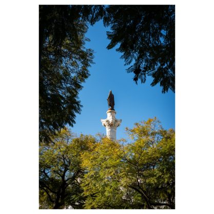 Doorkijk door bomen naar monument, stedelijke fotografie Haarlem